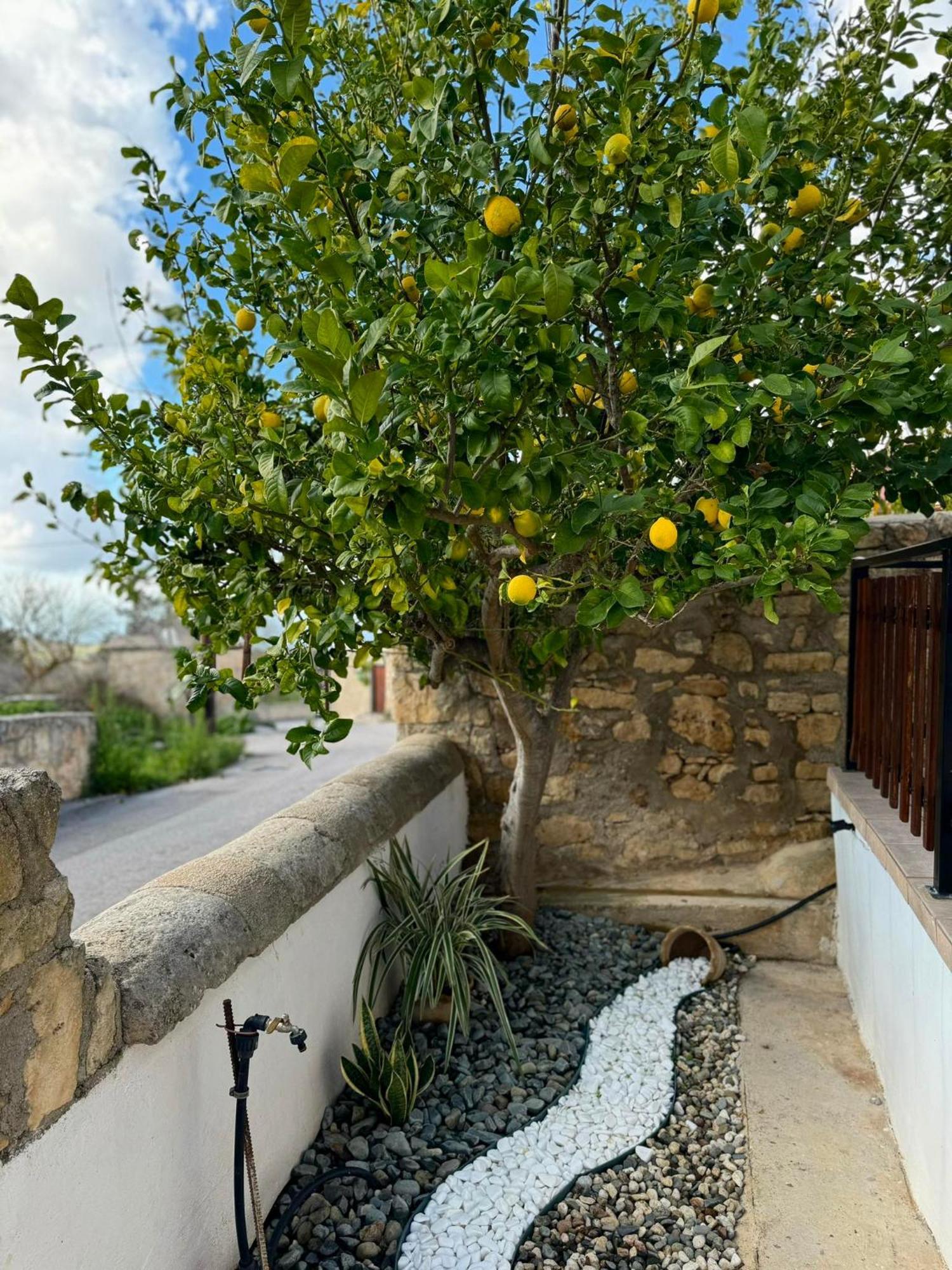 Villa Mariarodes House Pano Arodes Exterior foto